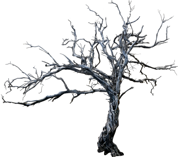 Изображение Для Плейкаста - Черно Белое Пнг (600x529)