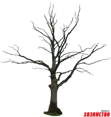 Beautiful Sceneries Of Nature At Night (400x417)