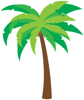 Coconut-tree - Trees Icon Png Palm (480x480)