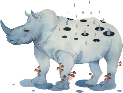 An Old Rhino - An Old Rhino (658x502)