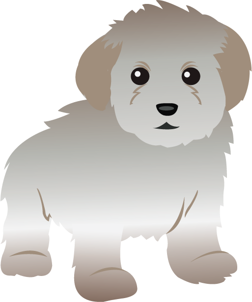 Cartoon Poodle Clipart Free To Use Clip Art Resource - Clip Art Of Poodle (513x615)