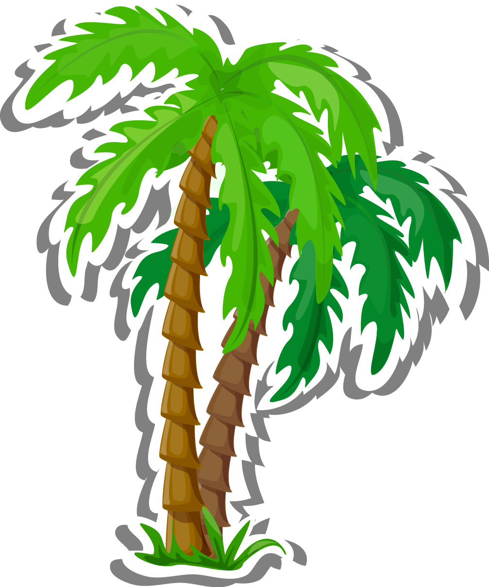 Vector Cartoon Coconut Tree Decoration 1007*1210 Transprent - Vector Cartoon Coconut Tree Decoration 1007*1210 Transprent (1007x1210)