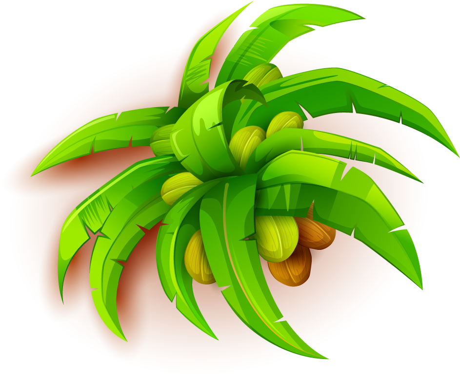 Coconut Fruit 1000*920 Transprent Png Free Download - Coconut Fruit 1000*920 Transprent Png Free Download (1000x920)