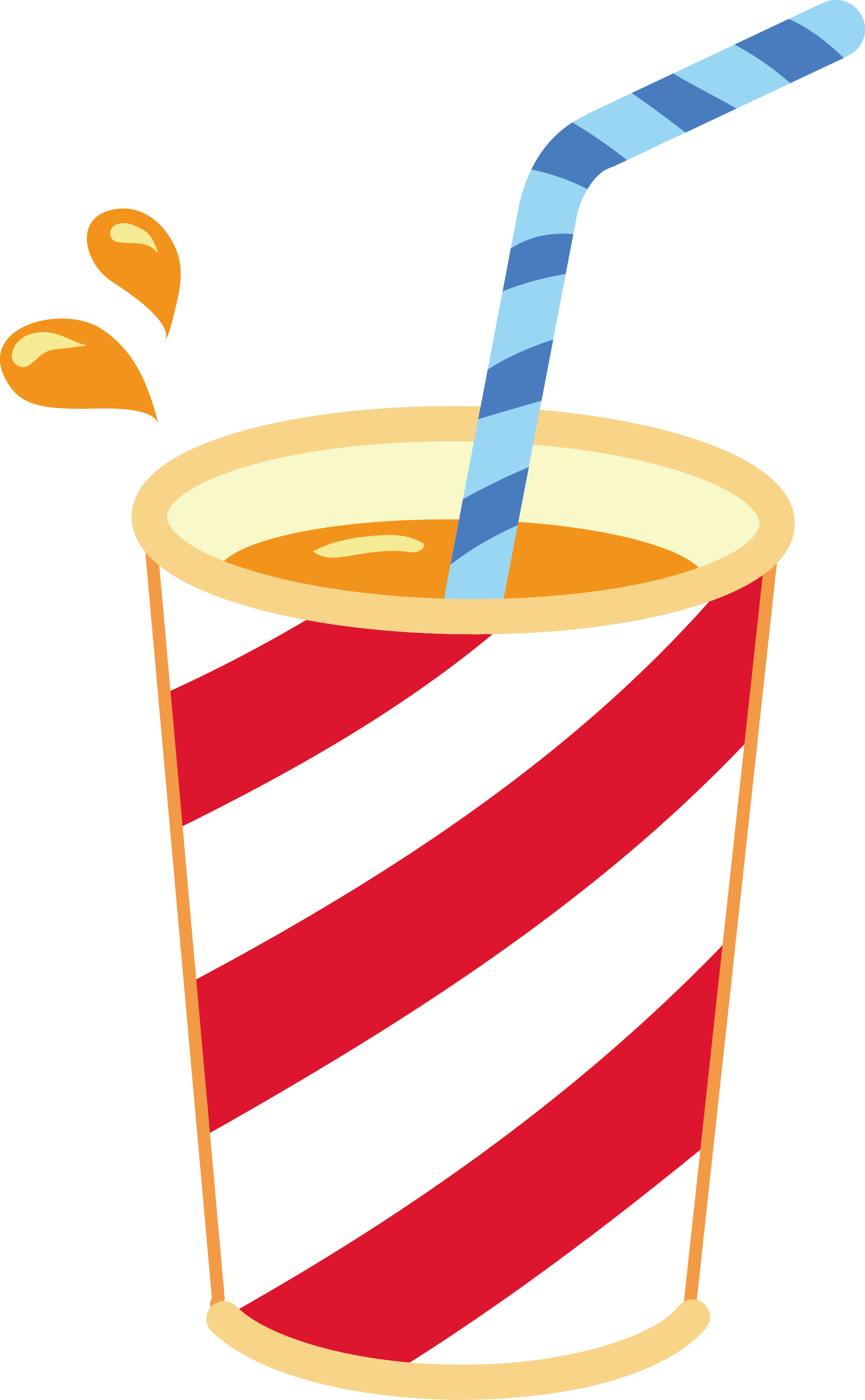 Orange Juice Soft Drink Tea - Orange Juice Soft Drink Tea (2019x3267)