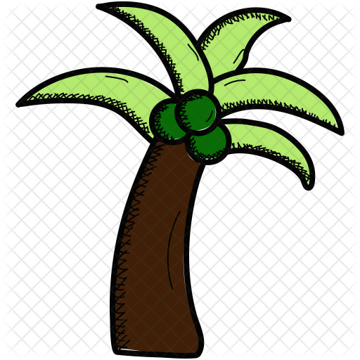 Coconut Tree Icon - Coconut (512x512)
