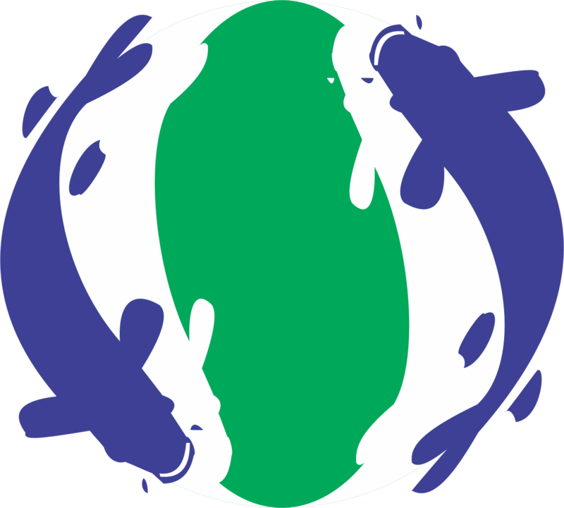 Logo Enso Koi By Owobsilahk - Illustration (800x721)