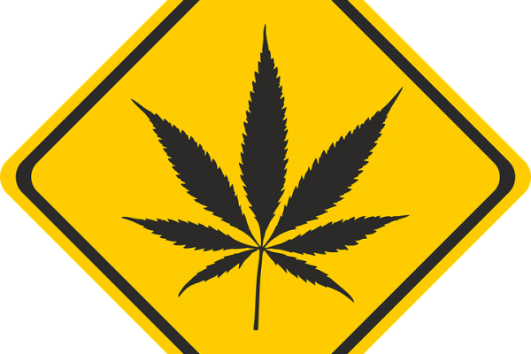 Responsible Recreational Marijuana Use In Nevada - Pot Leaf (600x400)