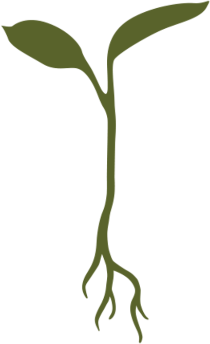 Raw Garden - Raw Garden Logo (768x770)