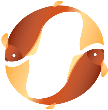 Koi Education - Koi (400x400)