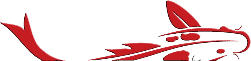 Koi Outline Red Bevel - Bevel (1000x217)