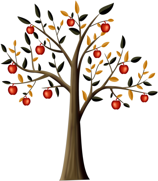 Drawing Tree Apple Clip Art - Drawing Tree Apple Clip Art (705x800)