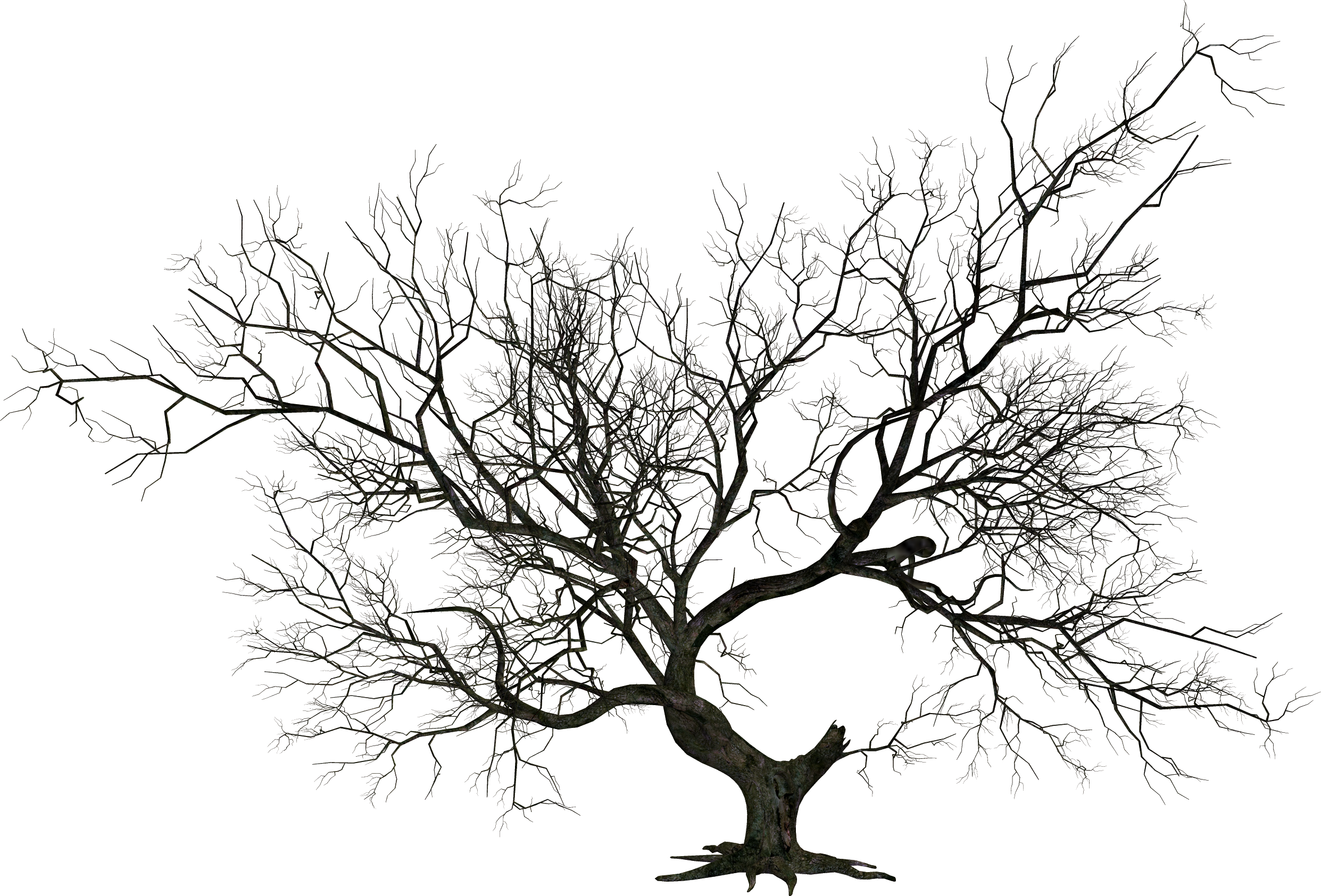 Png Halloween Tree - Wicked Tree Clip Art (2483x1685)