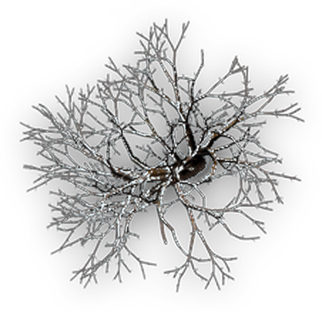 Dead Tree In Dundjinni, The First File Below Is Twice - Snow Dundjinni (452x438)