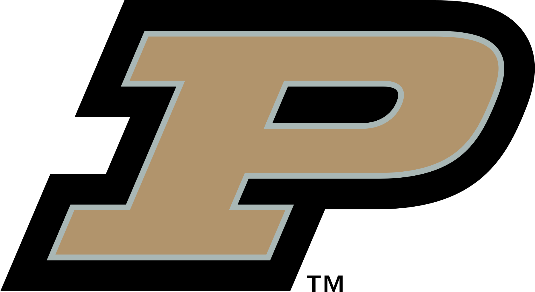 2000px-purdue Boilermakers Workmark - Purdue Logo (2000x1179)