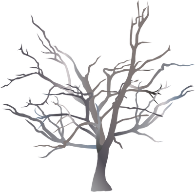 Ian Symbol Melaleuca Cuticularis - شجرة بدون اوراق تلوين (400x394)