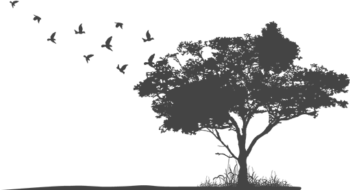 Staff Directory - Role Of Birds In Our Ecosystem (519x277)