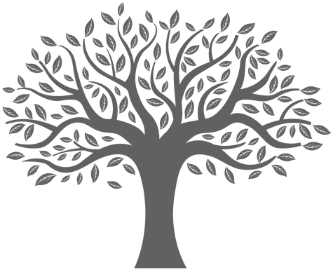 Flat Tree Silhouette - Tree Silhouette Png (512x512)