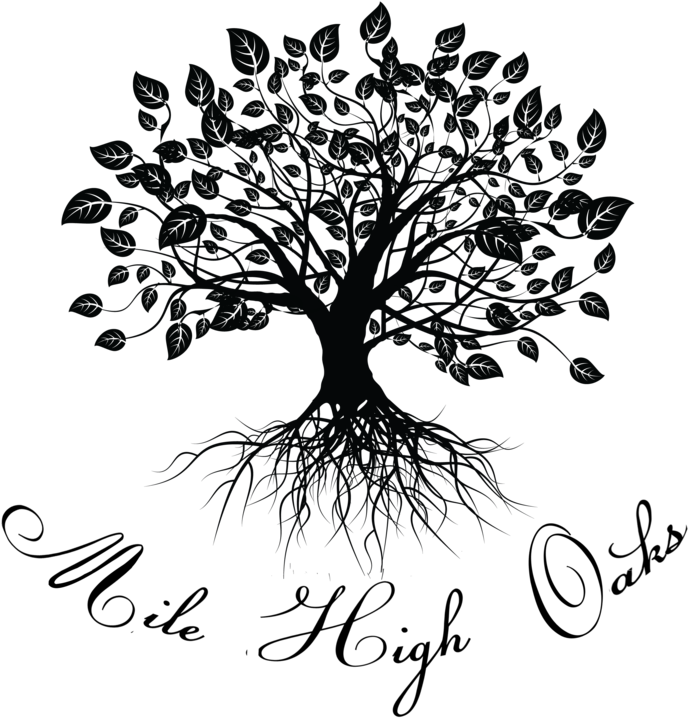 The Mile High Oaks Story - Illustration (1000x1078)