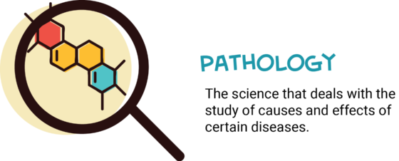 Speech-language Pathology - Speech-language Pathology (560x226)