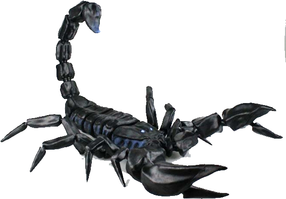 Scorpion 3d Printing 3d Modeling 3d Computer Graphics - 3d Printed Scorpion (600x559)