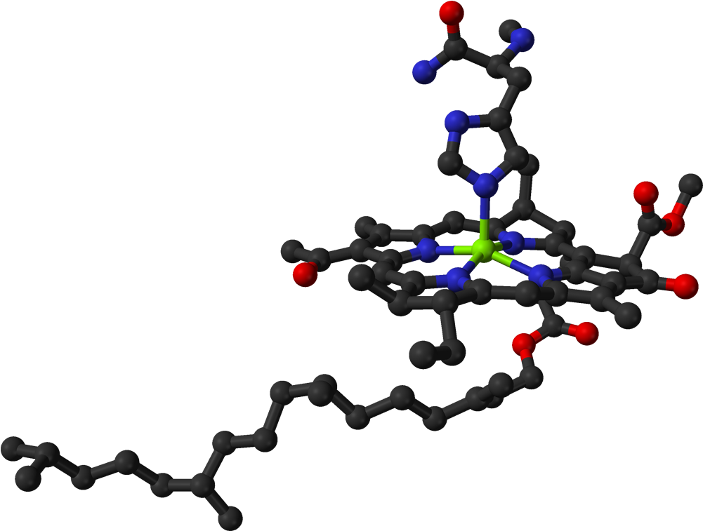 Chlorophyll In Protein 3d Balls - 3d Model Of Chlorophyll (1100x856)