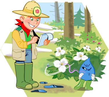 Flowers - Biotope (400x400)