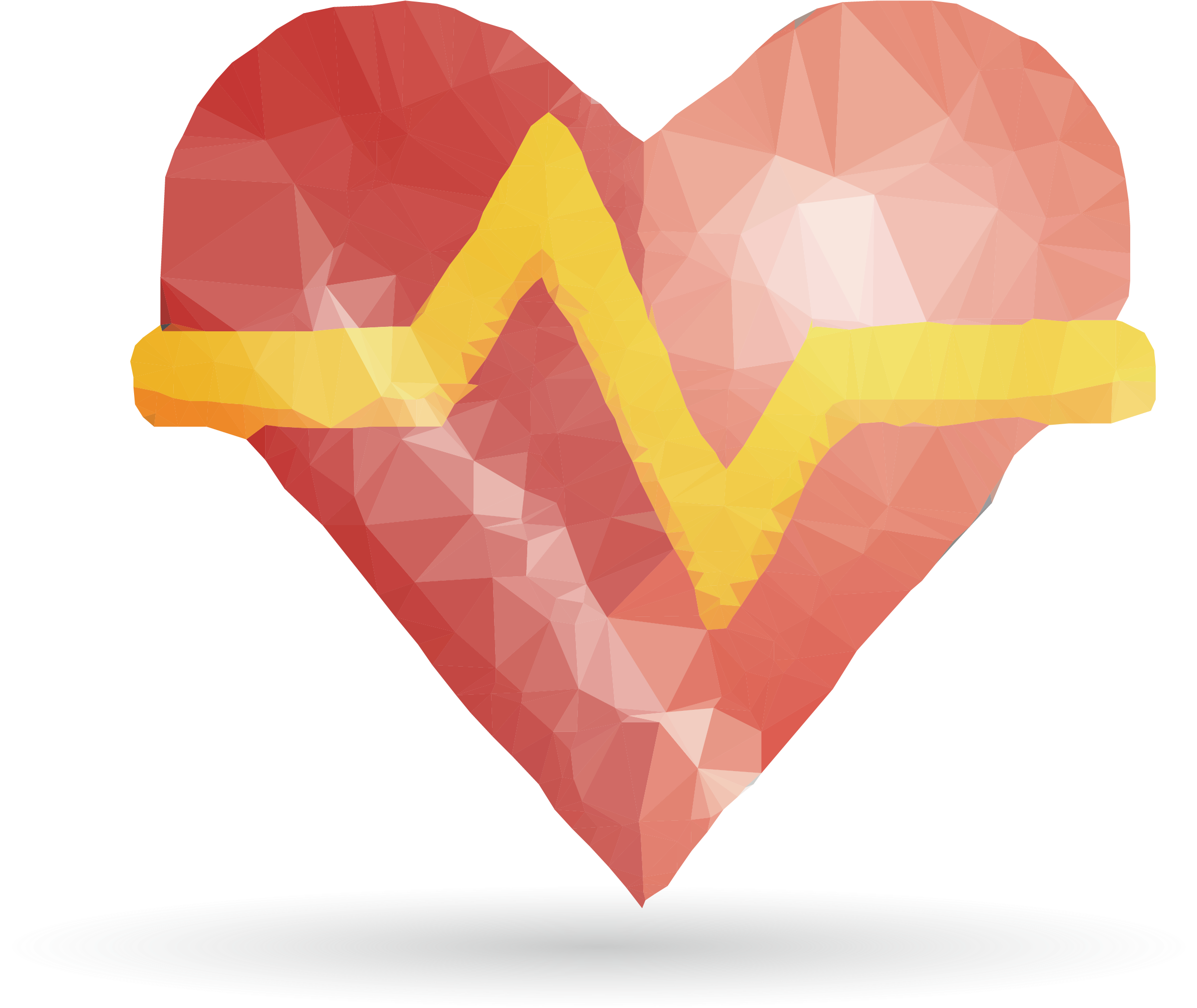 Photography Euclidean Vector Illustration - Photography Euclidean Vector Illustration (2557x2016)