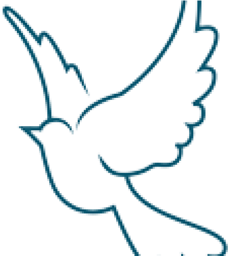 Dove Png Cliparts Gallery Clipart Picture Birds White - Christianity Symbols Dove Png (512x512)