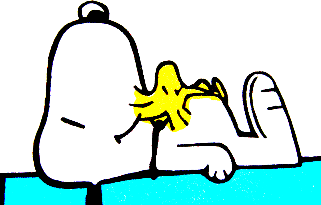 Sleeping Quiet By Bradsnoopy97 - Snoopy And Woodstock Sleeping (1102x725)