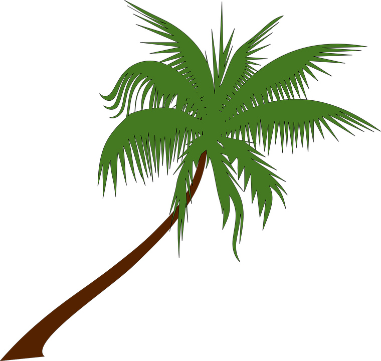Free Vector Graphic - Free Palm Tree Clipart (760x720)