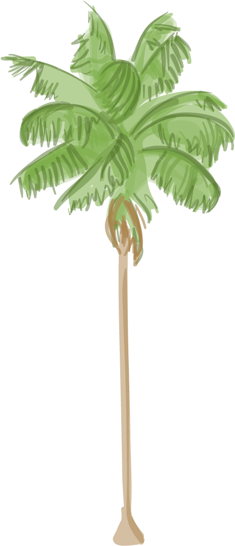 L A S Palm Trees Are Dying And It S Changing The City - Palm Tree (521x1151)