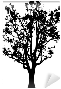Old Oak Tree Silhouette Isolated On White Wall Mural - Oak (400x400)