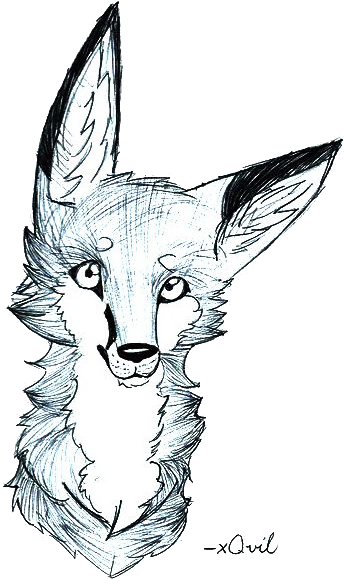 Fox - Fox Pen Drawing (391x631)