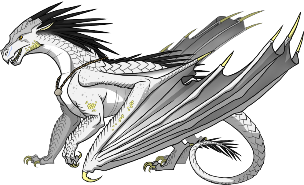 Animus Dragons - Wings Of Fire Dragons (1000x612)