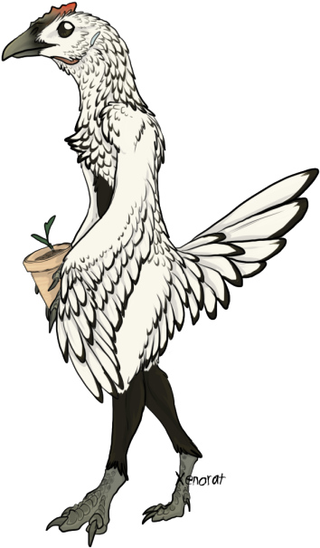 Sebright Chicken Anthro Of Ambiguous Gender - Sebright Chicken (500x704)