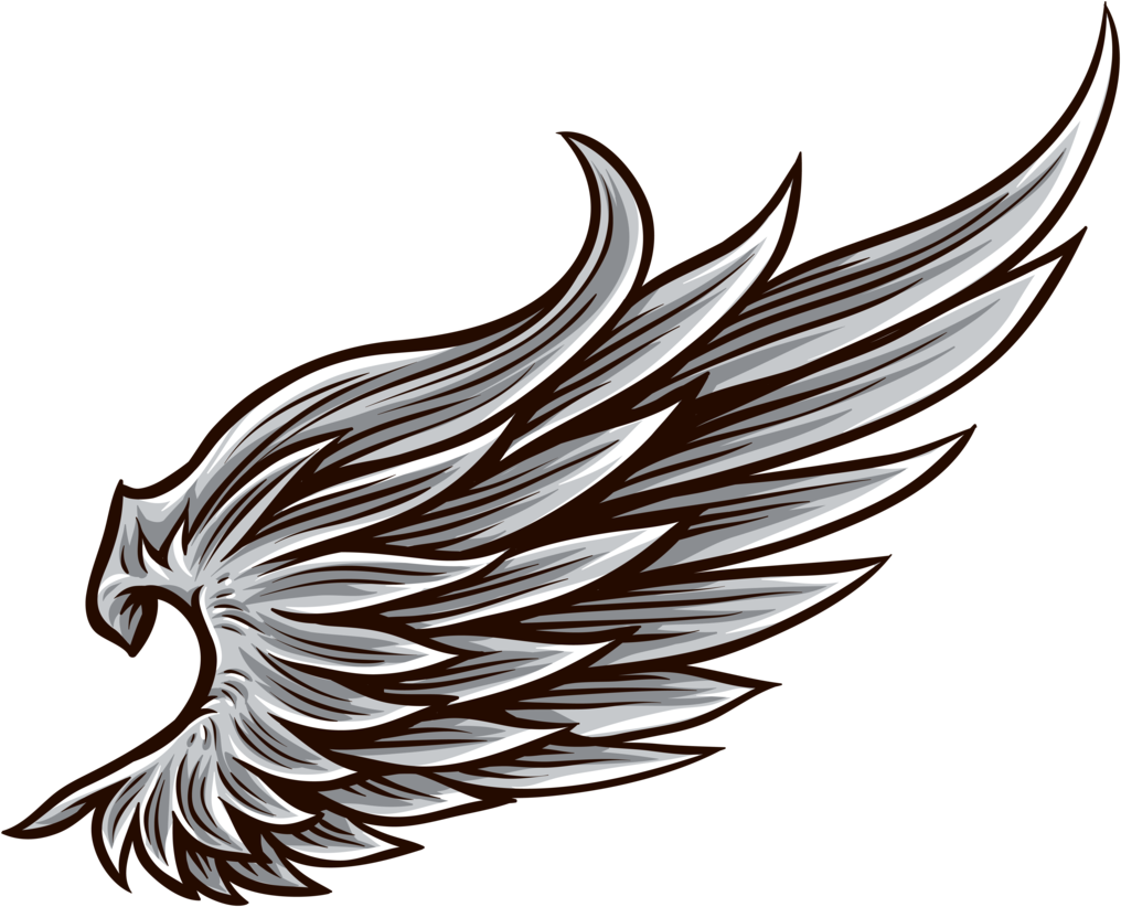 Wings 1024*823 Transprent Png Free Download - Wings 1024*823 Transprent Png Free Download (1024x823)