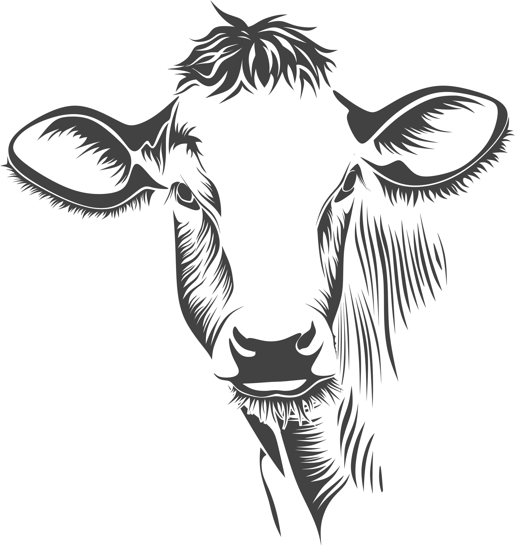 New 2018 Images Cow Vector Free Download - Hangin With My Heifers.