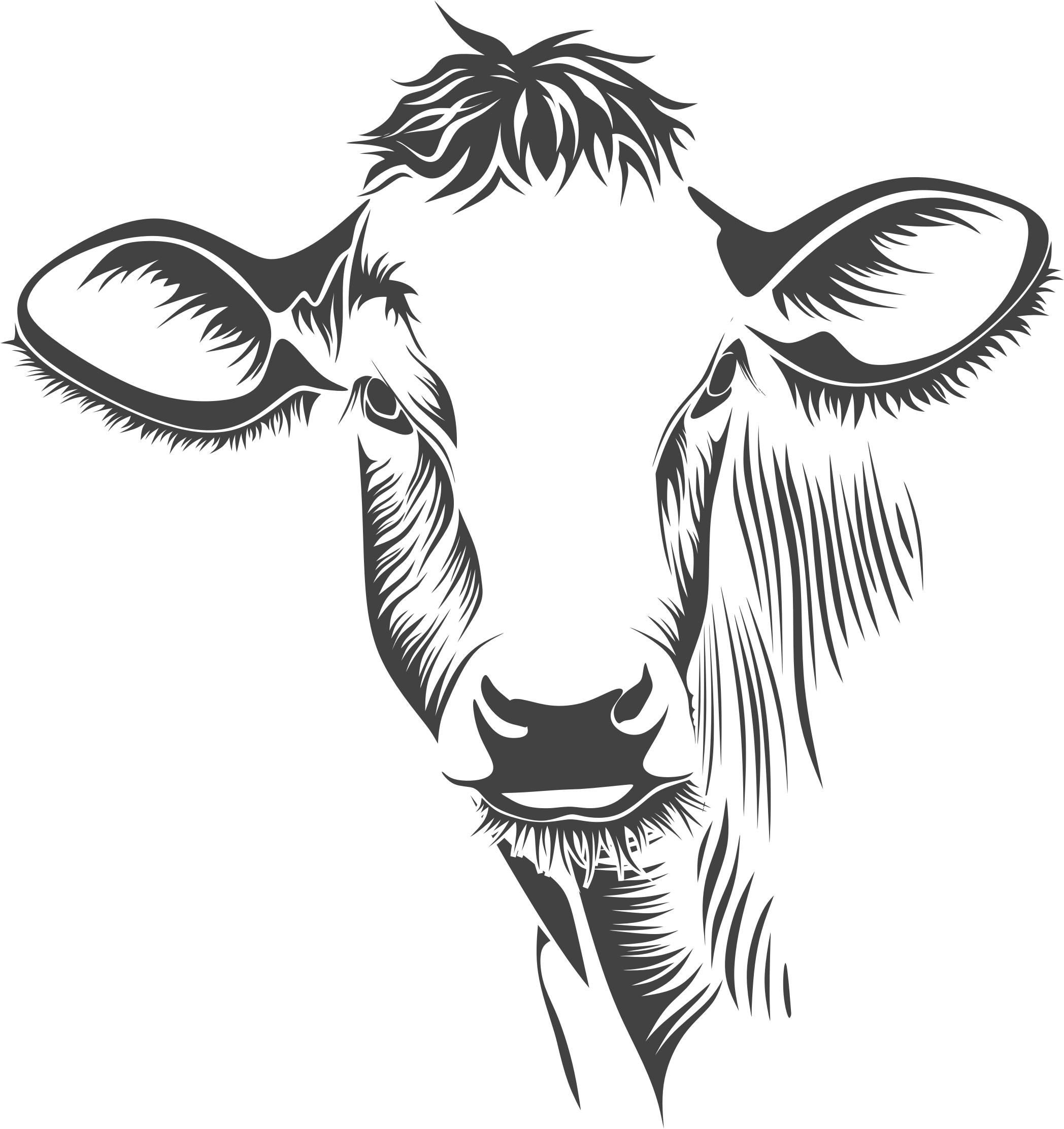 New 2018 Images Cow Vector Free Download - Hangin With My Heifers (2096x2224)