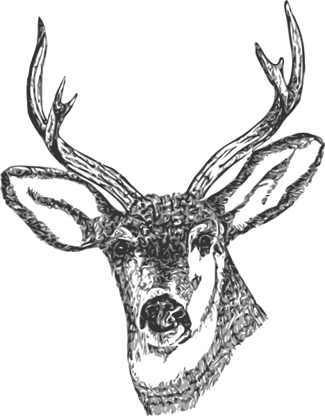 Deer Head Clip Art Free Vector - Deer Head Png (468x598)