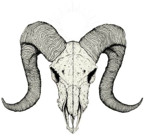 Skull Tattoo Drawing Sketch - Ram Skull Tattoo (493x700)