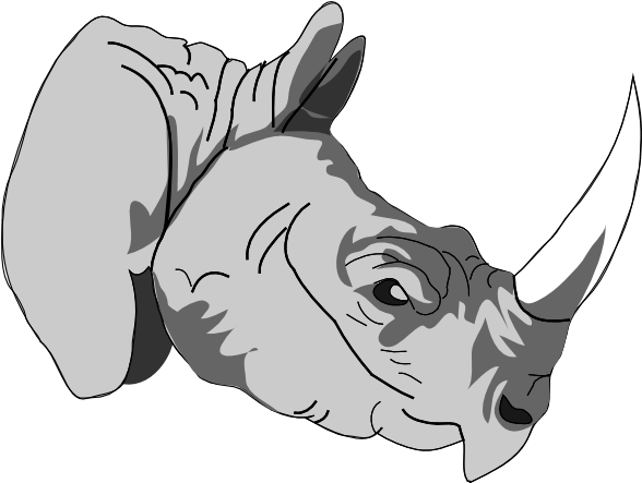 Rhino Horn Clipart Png (600x456)