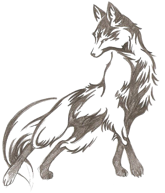 Tattoo Diego De La Vega Fox Drawing Idea - Tattoo Diego De La Vega Fox Drawing Idea (564x675)