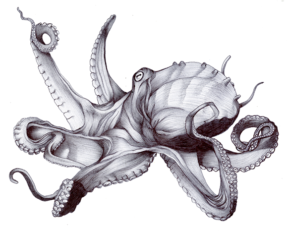 Did For My Redesign Of The Timelife Book, The Sea, - Sketch (600x478)