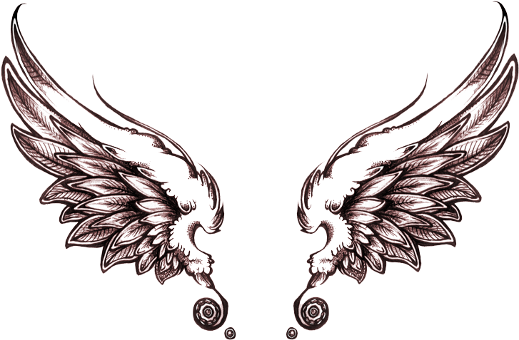 Angel Tattoos Png Transparent Images - Angel Wings Tattoo Drawing (840x570)