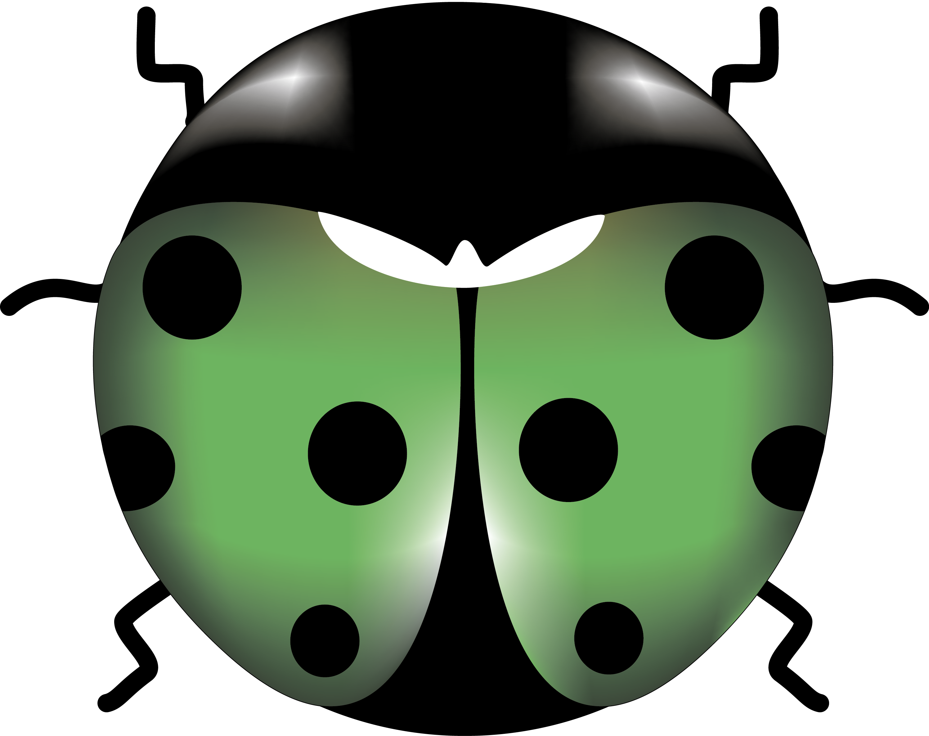 Ladybird Insect Royalty-free Clip Art - Ladybird Insect Royalty-free Clip Art (2994x2372)