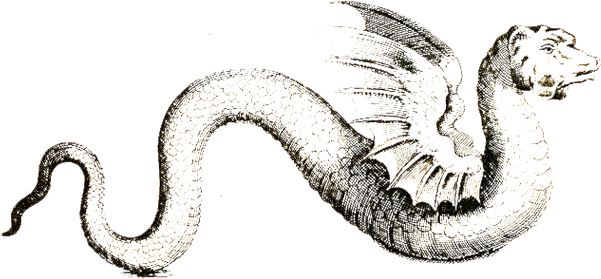 By Anaar - Winged Serpent Black And White (621x292)