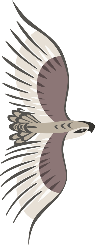 Free Golden Eagle - Bird Flying From Top (312x800)