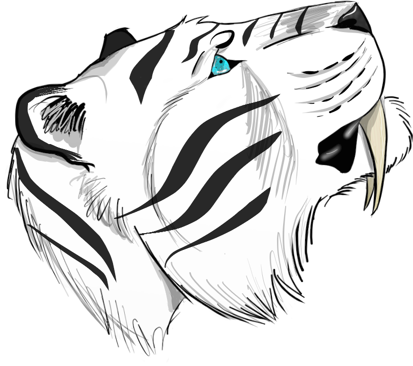 More Amazing Art By Thedrawfrog - Sketch (1058x1058)