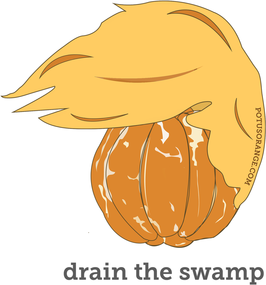 "drain The Swamp" - Sleeve (1060x1272)