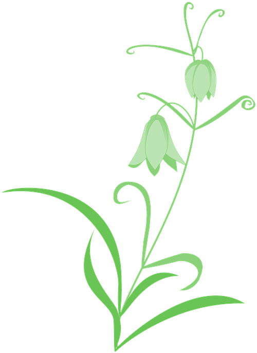 Lily Pad Clipart 11, - Fritillaria Verticillata (540x720)